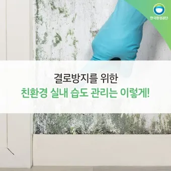 습도 높은날 제습 모드 빨래 건조 곰팡이 차단법_3