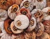 곶감선물세트 상품 유명한 지역 상주 영동 산청 청도 논산 영동 함양 곶감선물세트