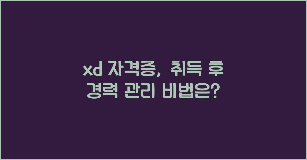 xd 자격증