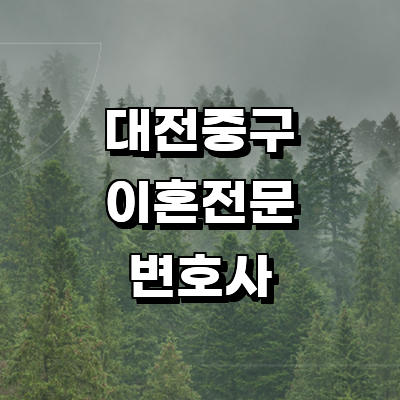 대전 중구 이혼 변호사