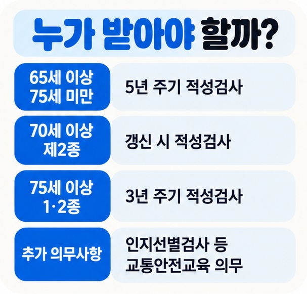 65세 이상 5년 주기 70세 이상 제2종 적성검사 75세 이상 3년 주기와 교육 의무를 연령별로 정리한 이미지