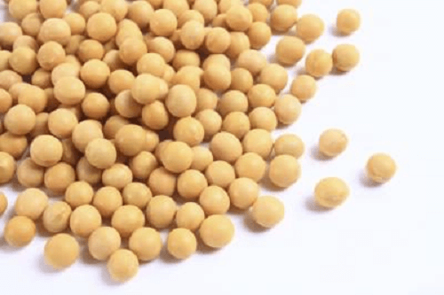 포스파티딜세린-음식