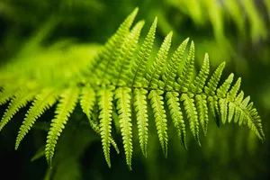 이석증에-좋은-음식