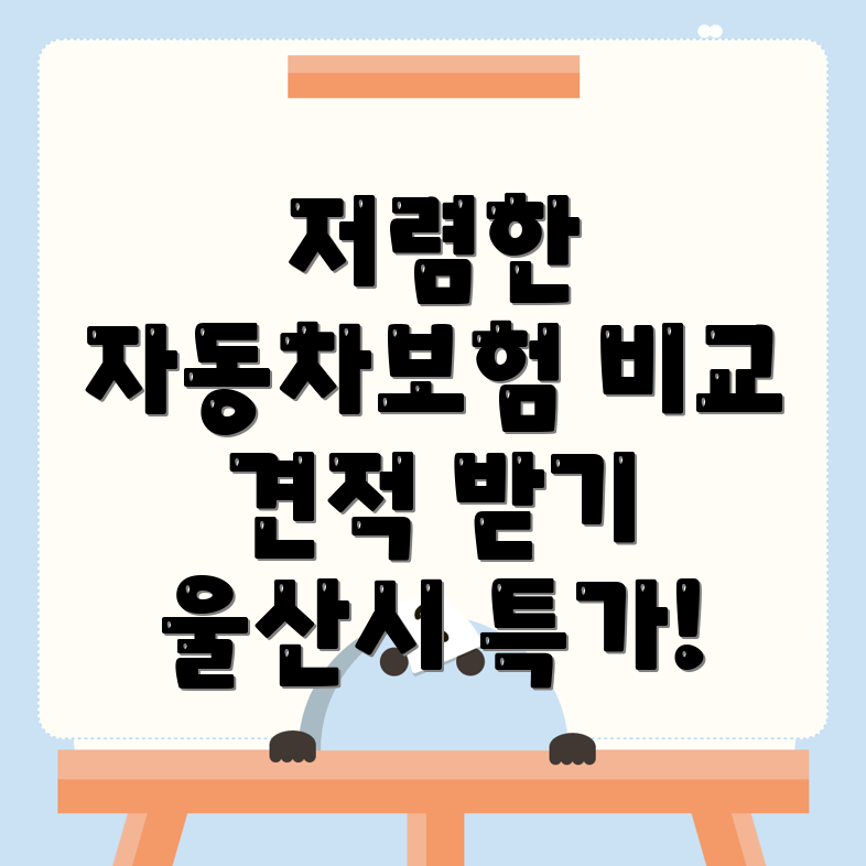 자동차보험