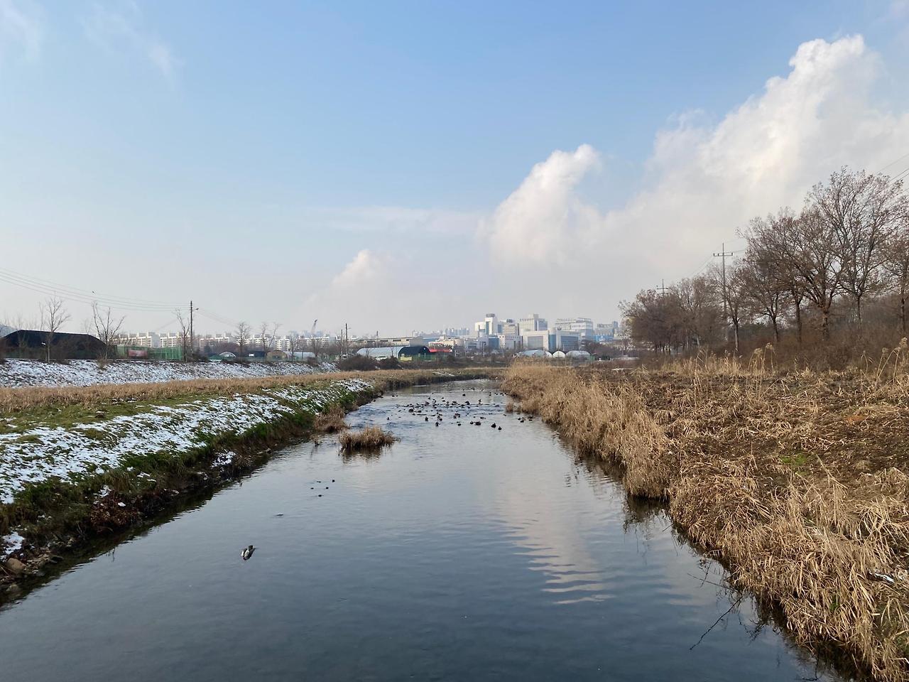 인천 연수구 반려견 겨울 나들이 명소, 강아지와 함께 걷기 좋은 산책 코스