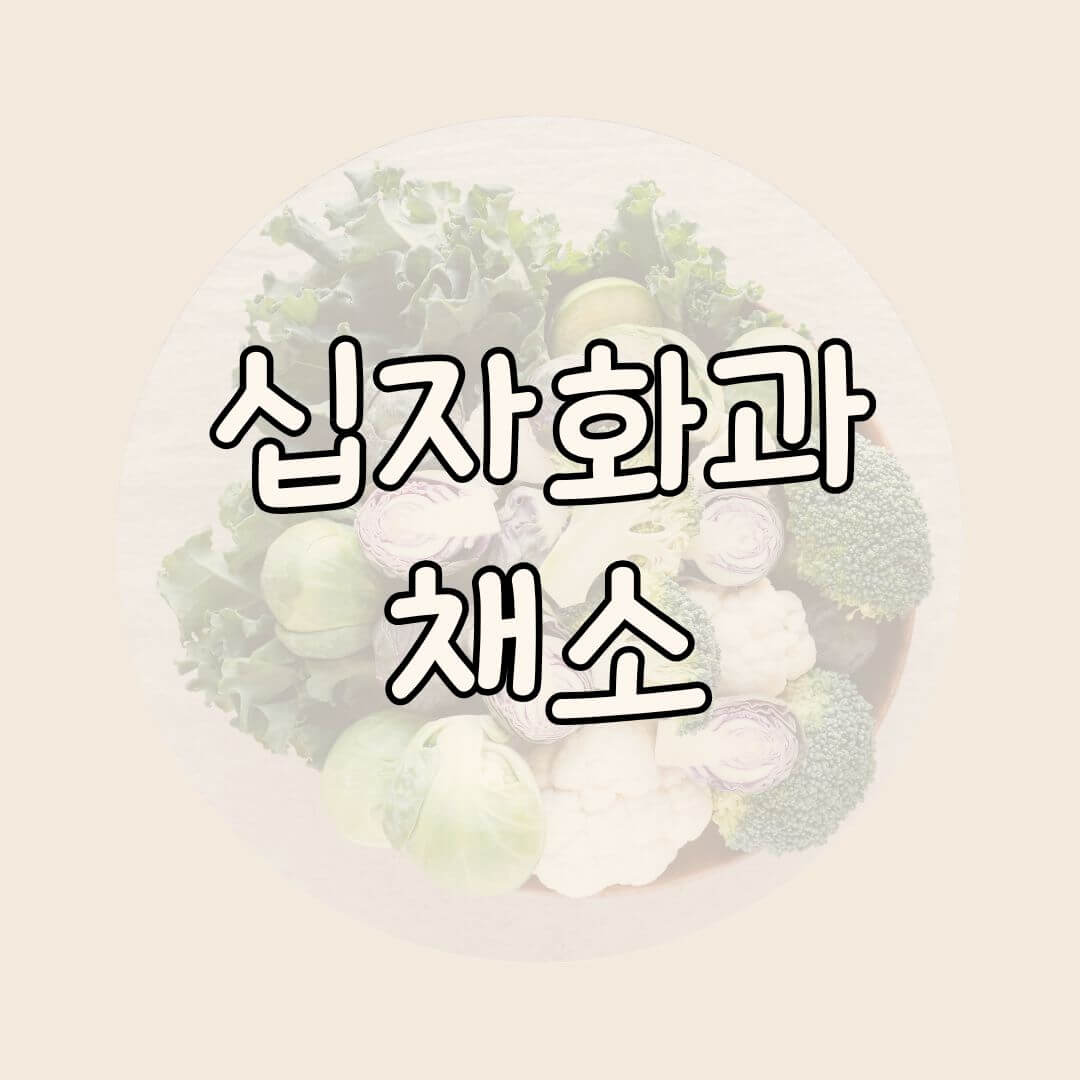 십자화과