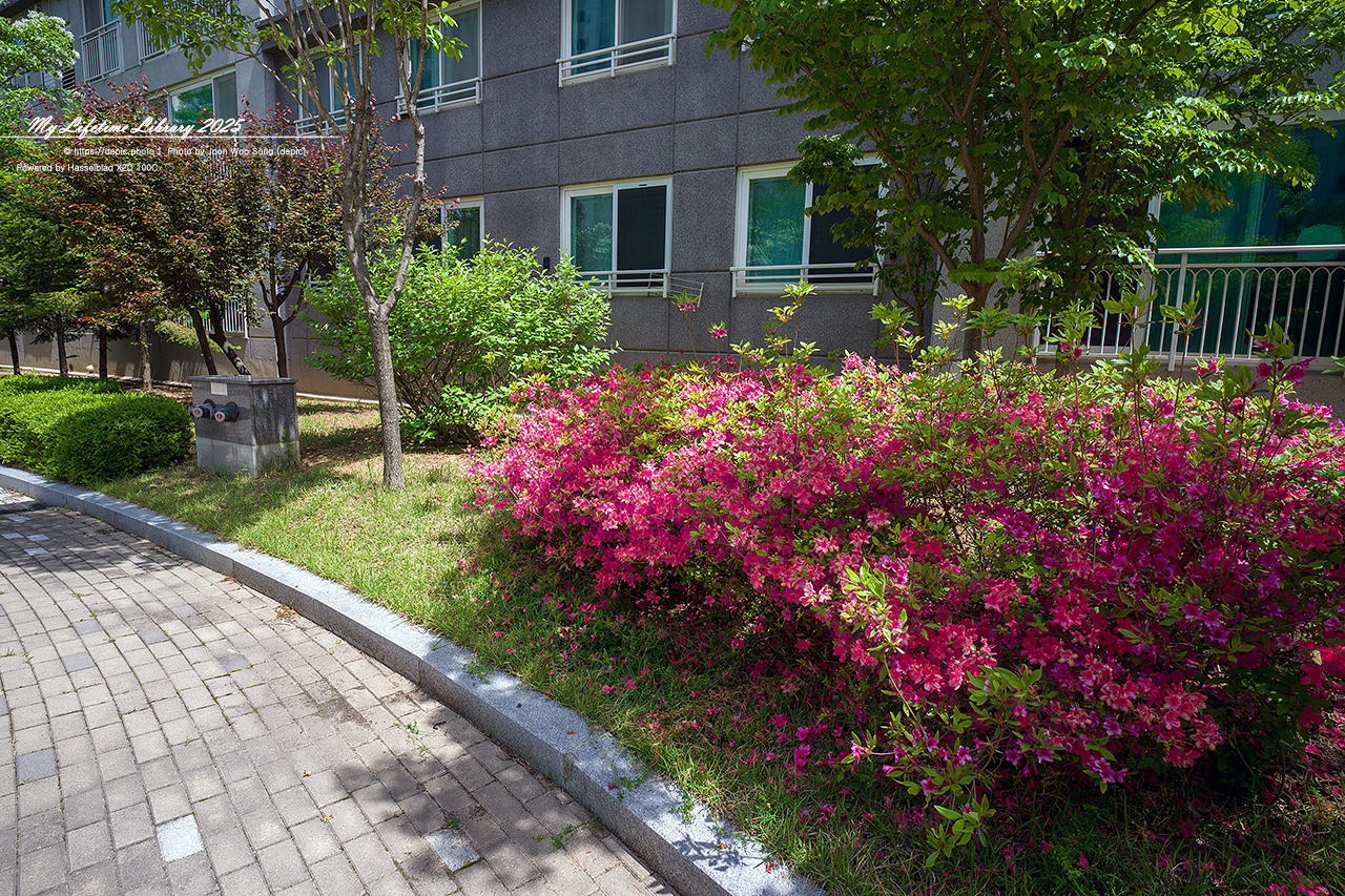 #아파트 #정원 #오창 #오창대성베르힐