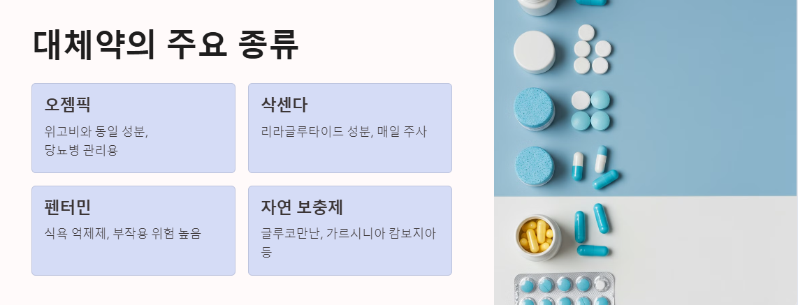 대체약의 종류와 특징