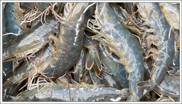 수산물 원산지 표시 대상품목 및 표시방법