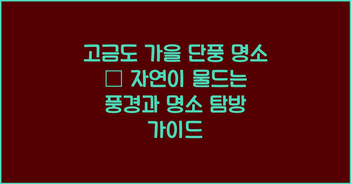 고금도 가을 단풍 명소 – 자연이 물드는 풍경