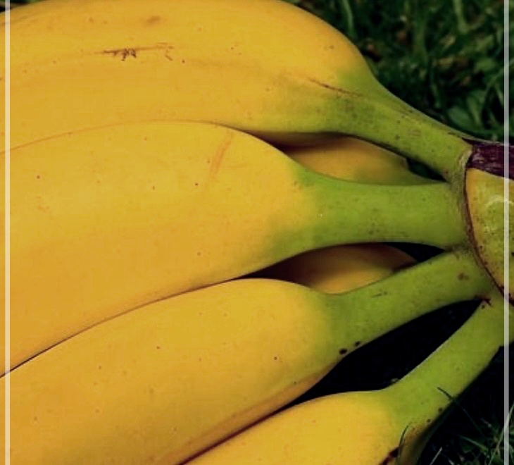 바나나의 효능, 보관법, 그리고 부작용에 대해 알아보자