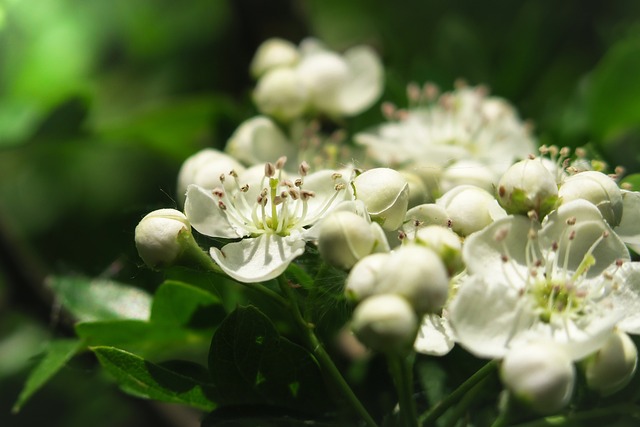 김수미 나이 프로필 정리 ✅