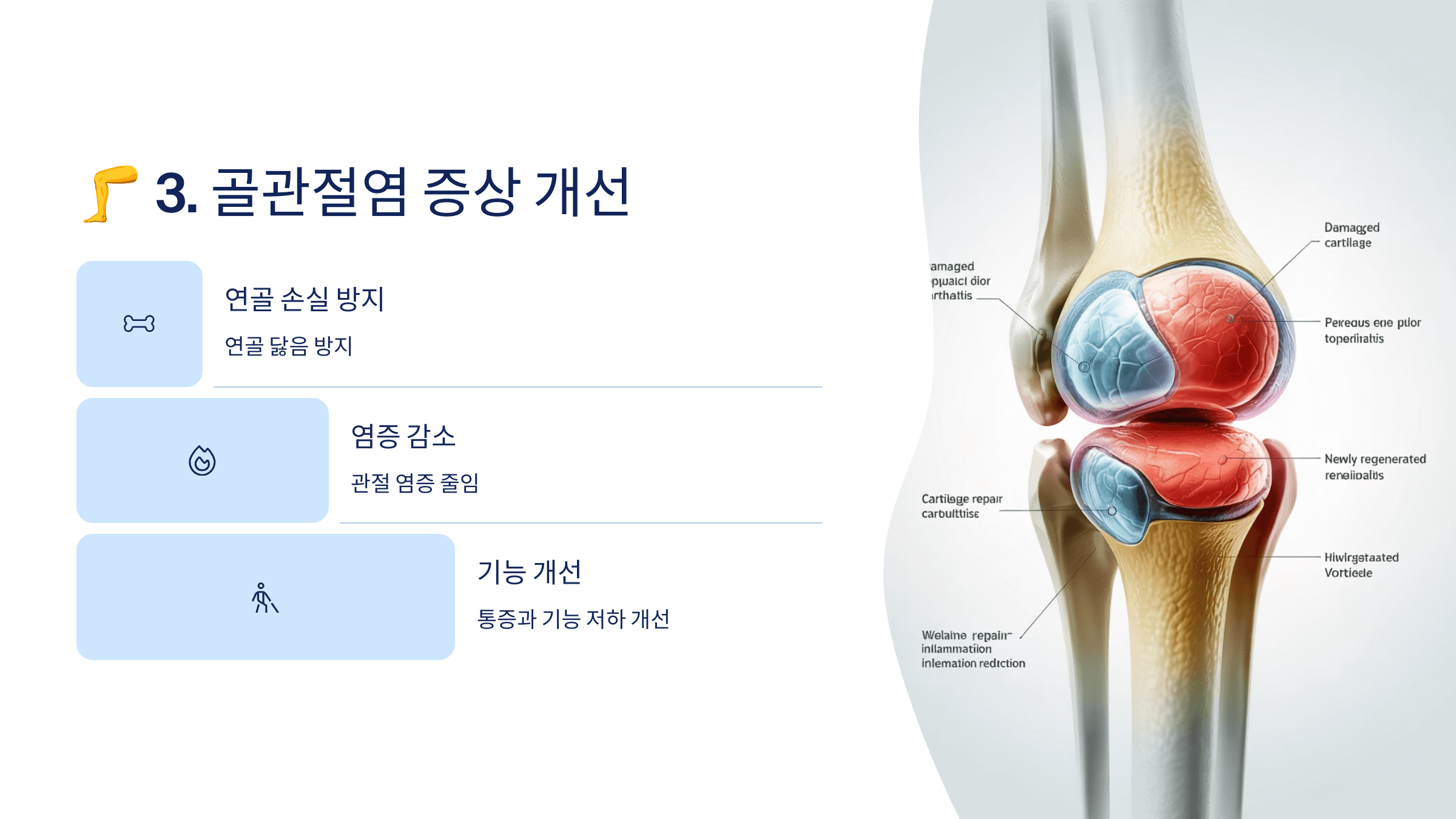 콘드로이친과 관련된 사진입니다.