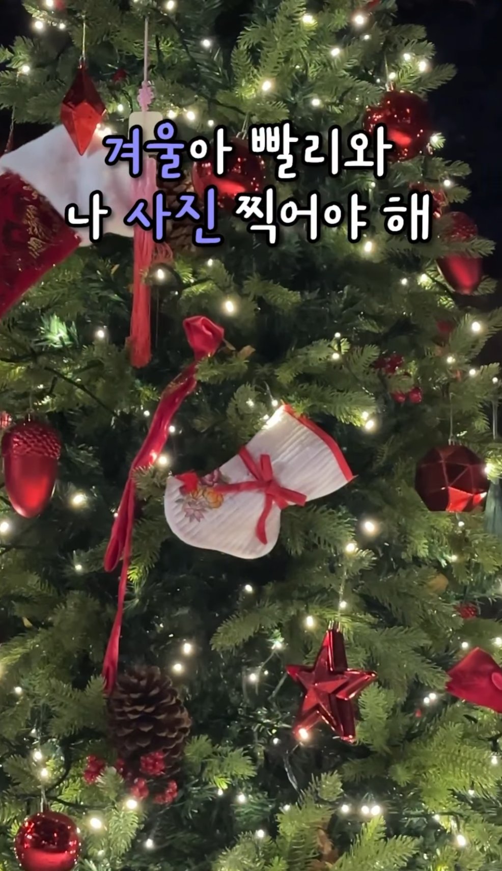 겨울 한국민속촌 크리스마스 트리 전통 장식 야간 포토존