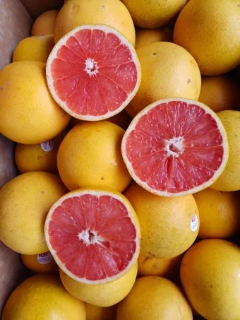 자몽 효능 부작용 칼로리_13