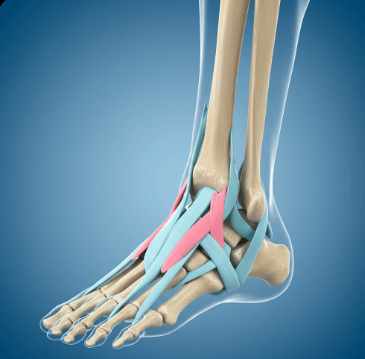 발목 안쪽 통증&amp;#44; 병원 3