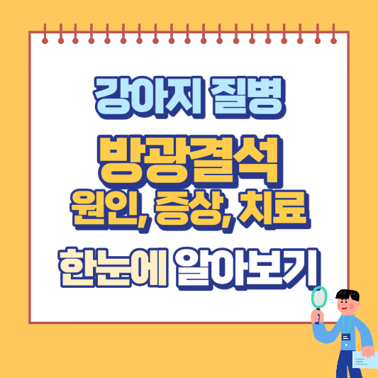 방광결석