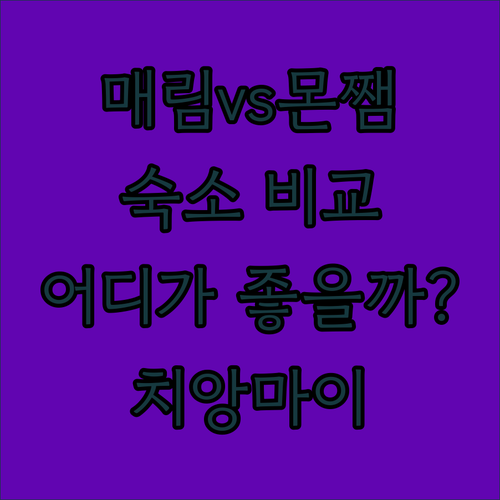매림 & 몬쨈 숙소 비교 분석 완벽한