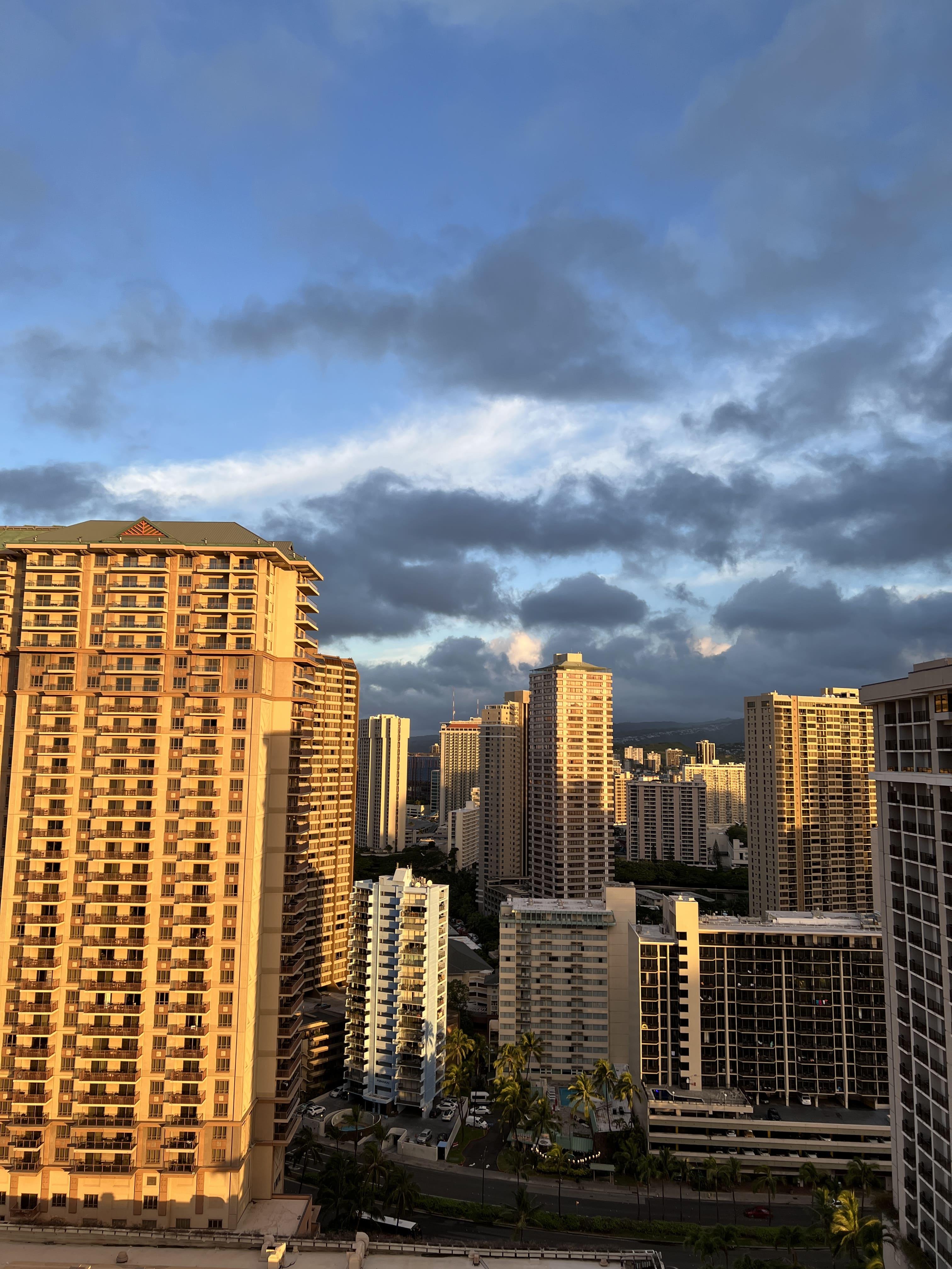 크리스마스-하와이여행-힐튼-와이키키