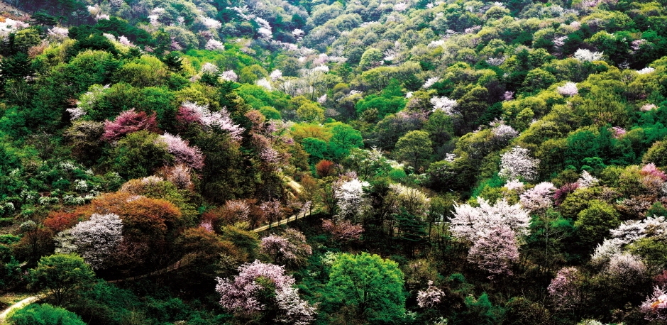 산풍경