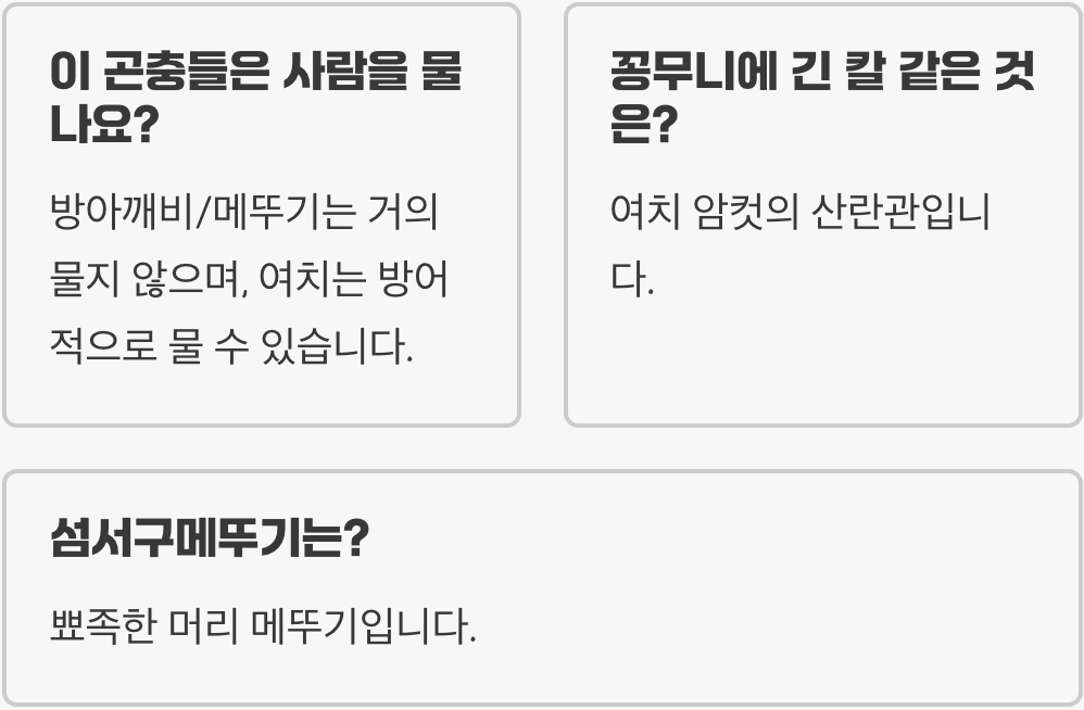 방아깨비 vs 메뚜기 vs 여치, 아직도 헷갈린다면?