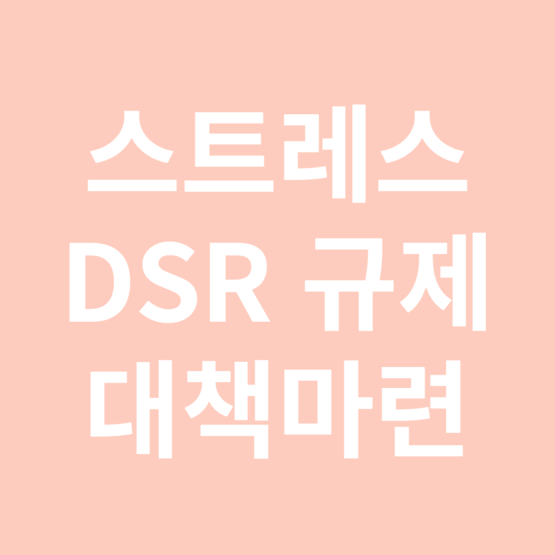 스트레스 DSR