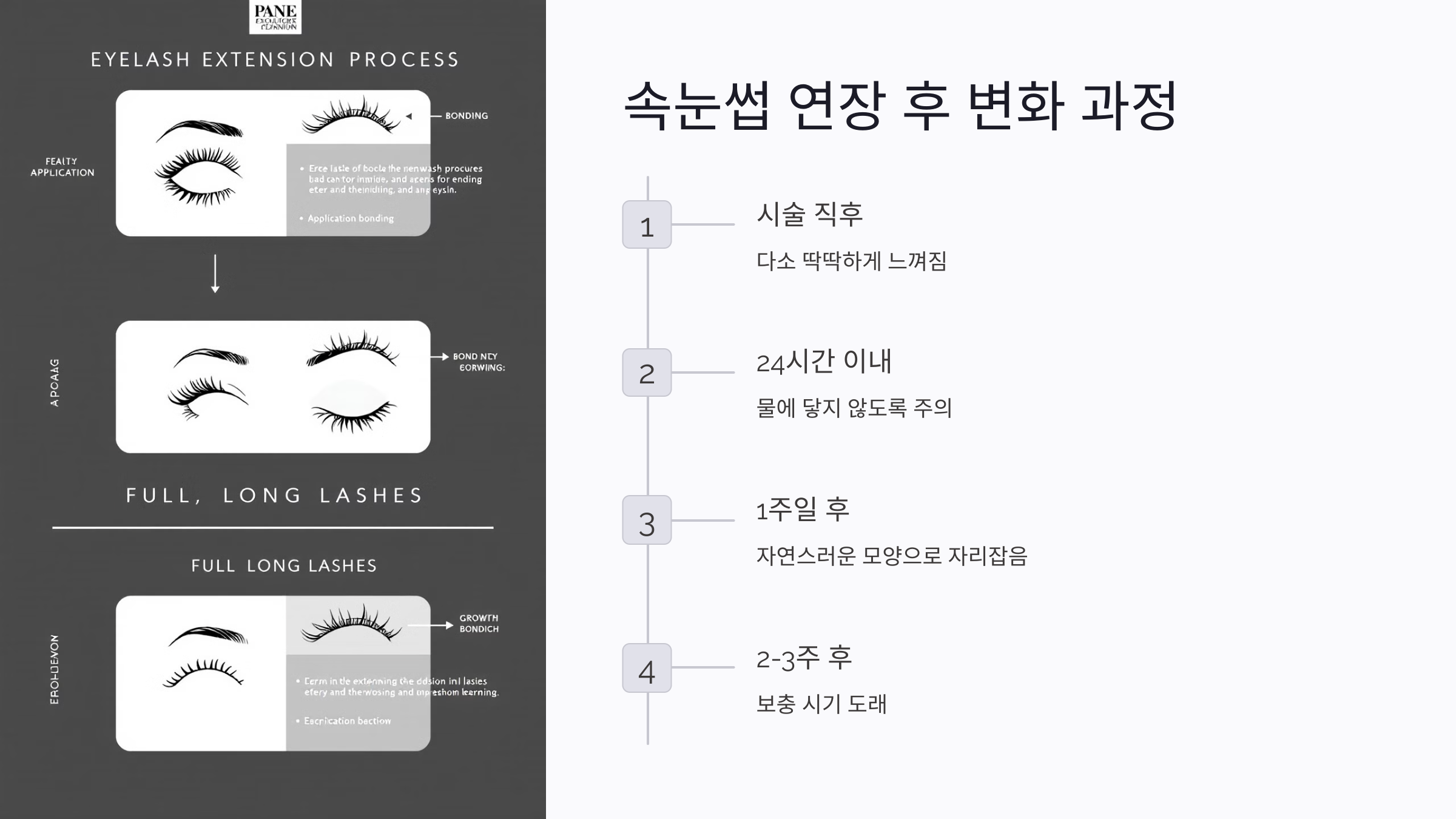 속눈썹 연장 후 변화 과정과 관리법
