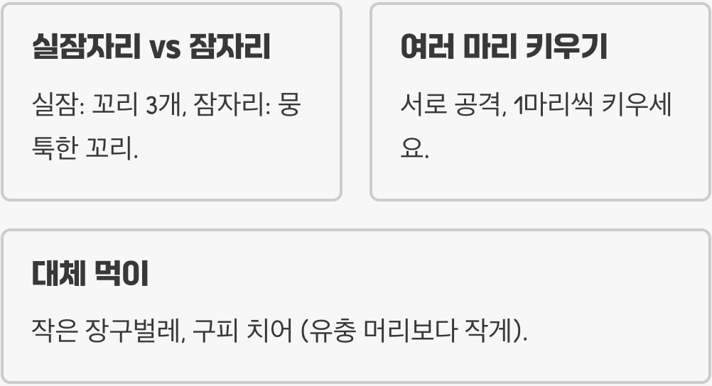 가느다란 실잠자리 키우기 A to Z (유충 채집부터 성충까지 완벽 가이드)