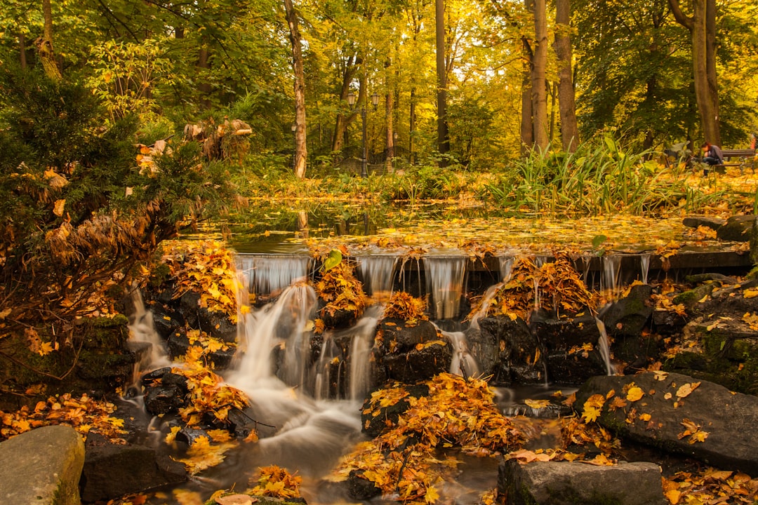 Fall
