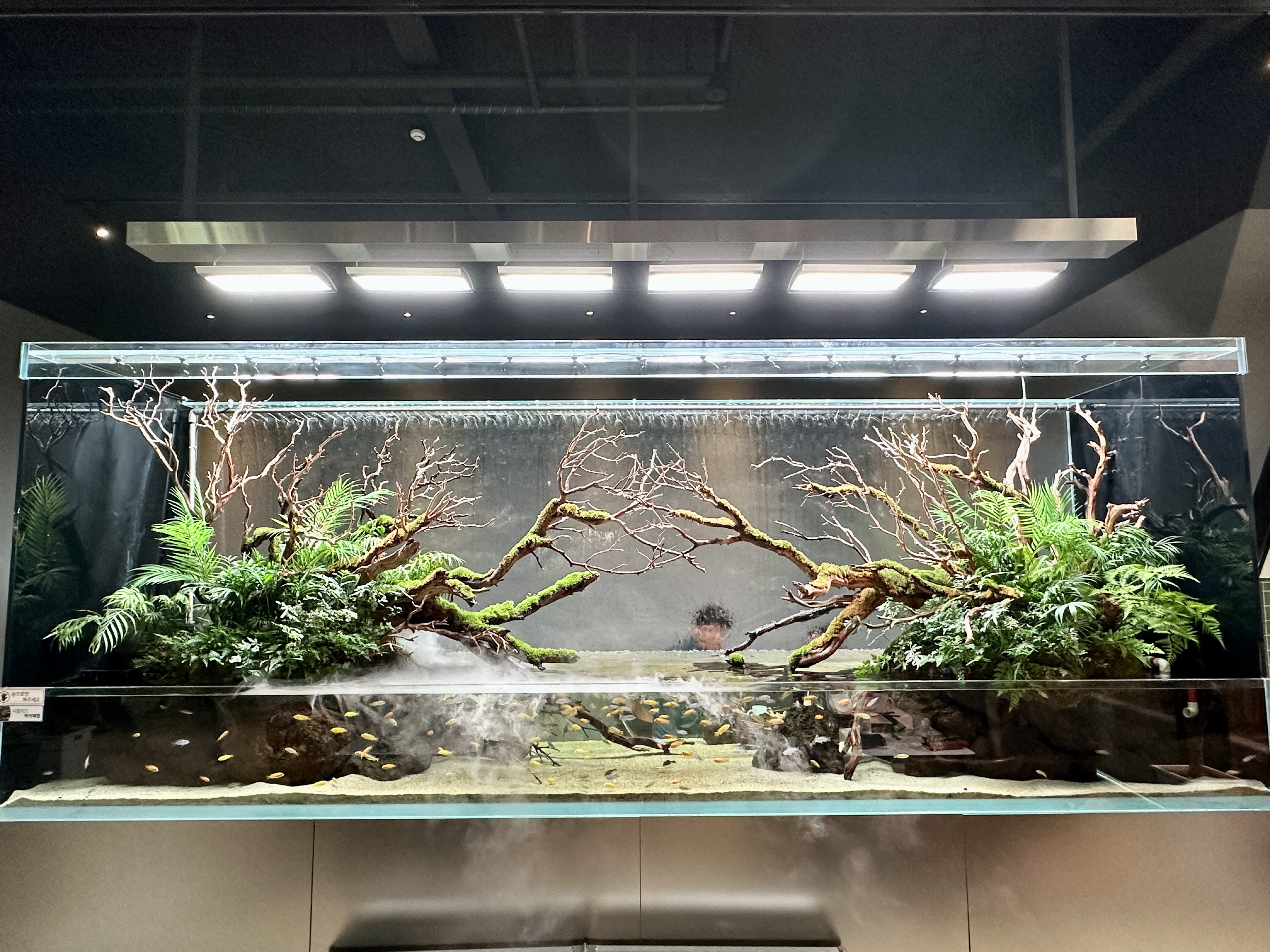 춘천 카페리움 수족관