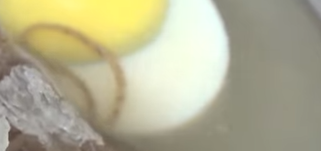 생활의 달인 황해도식 메밀냉면