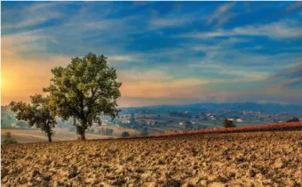 토양 pH 관리 산도 측정 교정 석회 시비 가용성 개선_24