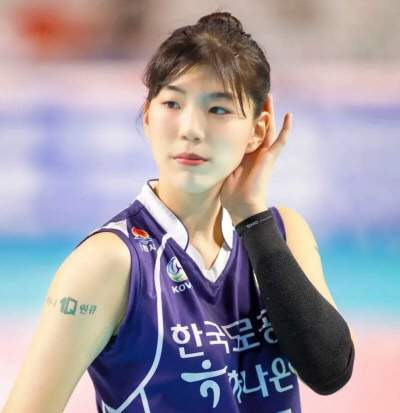 원더독스 2기 선수 13명 프로필 총정리｜인쿠시&middot;지민경&middot;김다솔&middot;하효림&middot;채선아 나이&middot;키&middot;학력&middot;전 소속팀