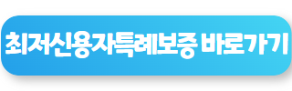 정부 지원 대출 최저신용자특례보증