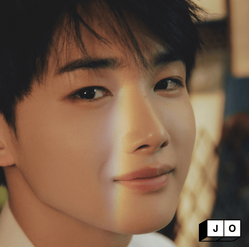 하이브 앤팀 멤버 조