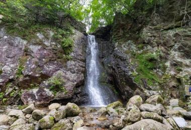 고석정 꽃밭축제 주차장