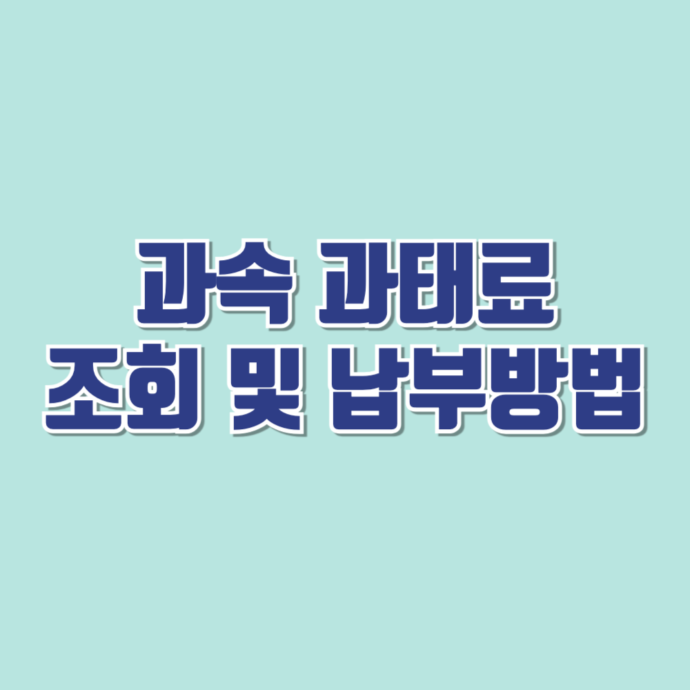 과속과태료조회납부