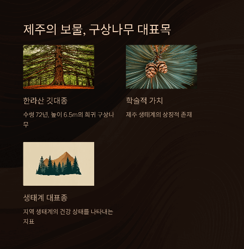 제주의 보물, 구상나무 대표목