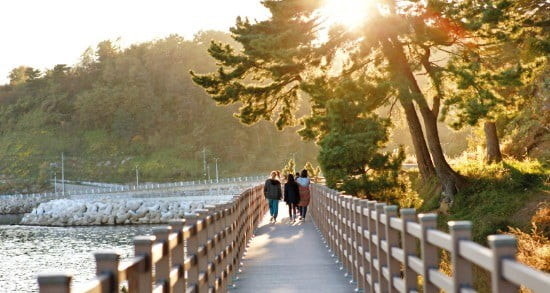 겨울철 혈압 관리