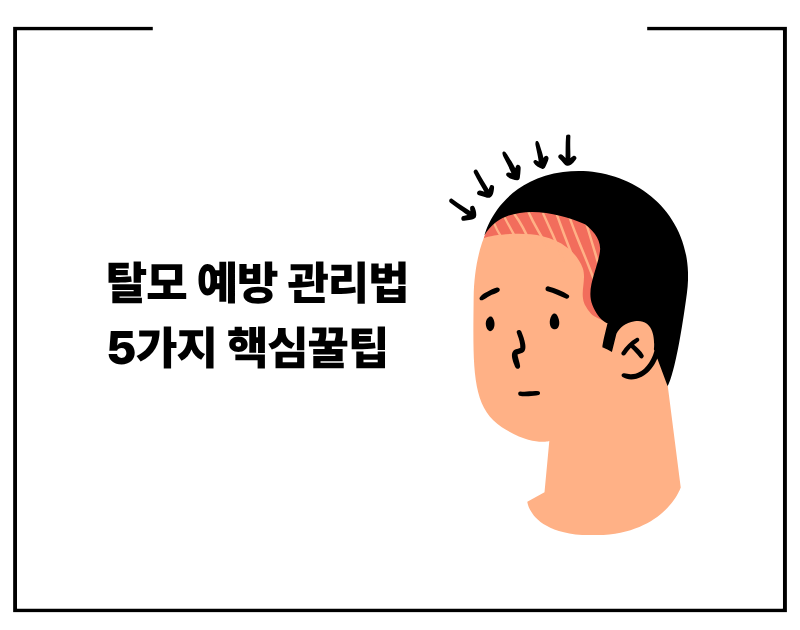탈모 예방 관리법 5가지 핵심꿀팁