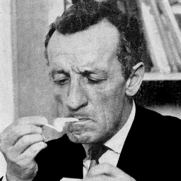 메를로퐁티 지각현상 3가지 예시와 현상학적 해석_9