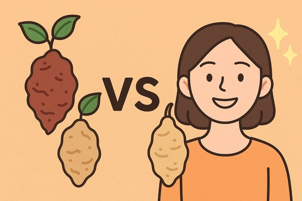 적하수오 백하수오 차이와 효능 비교16