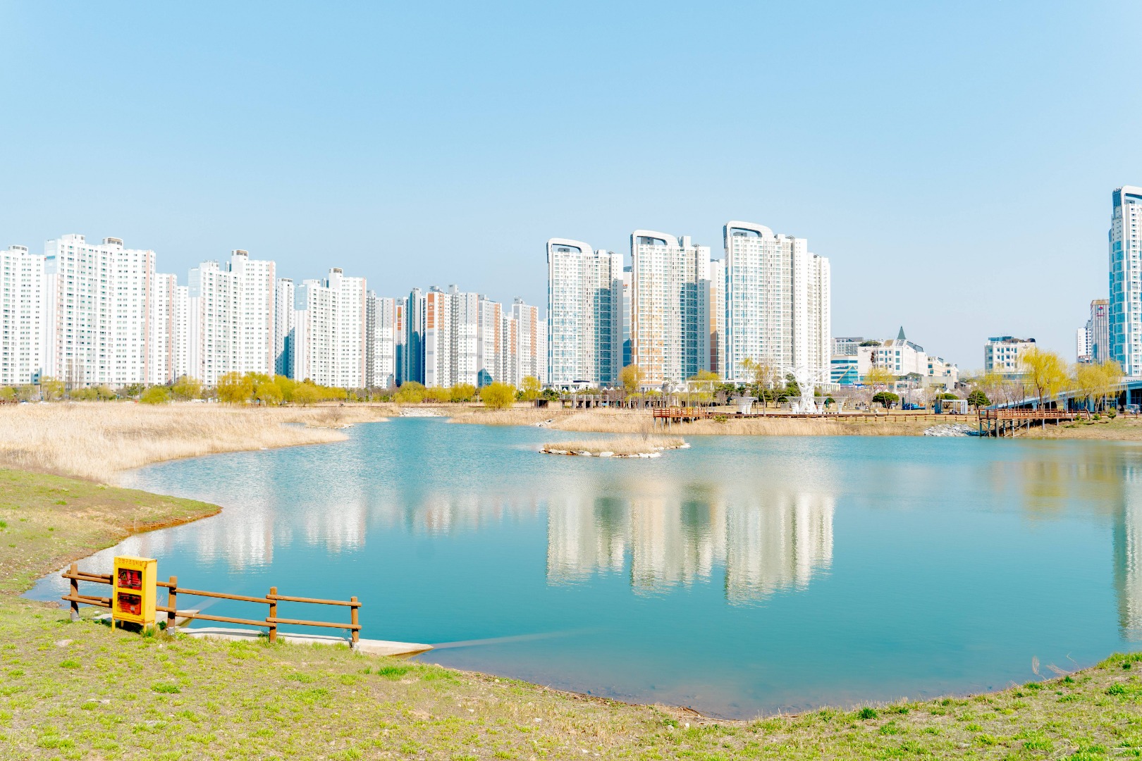 시흥 배곧생명공원 피크닉