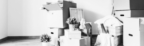 포장이사, 용달이사 등