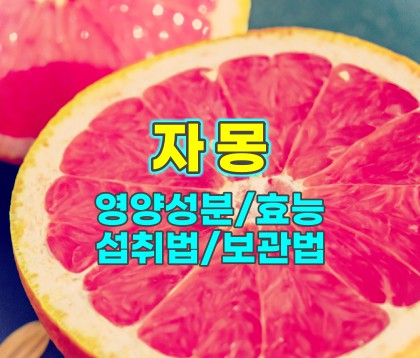 자몽-영양성분