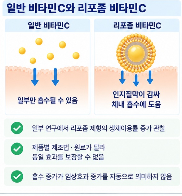 리포좀 비타민C가 일부 연구에서 일반 비타민C보다 생체이용률이 높게 나타났지만 제품별 차이가 있다는 설명 이미지