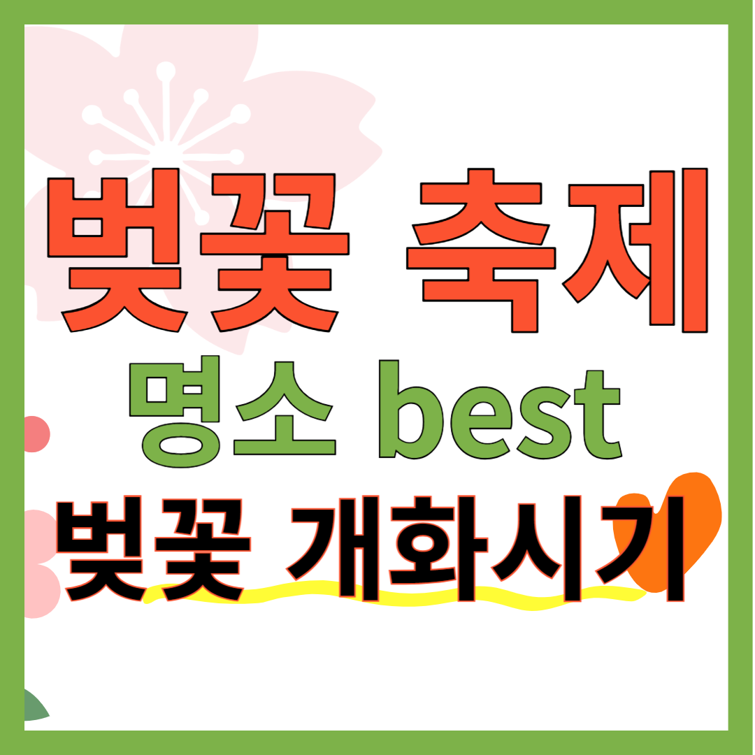 벚꽃 축제