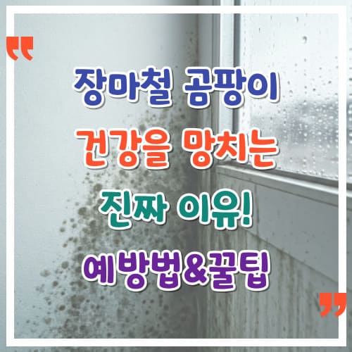 장마철-곰팡이-건강을-망치는-진짜-이유-예방법-꿀팁