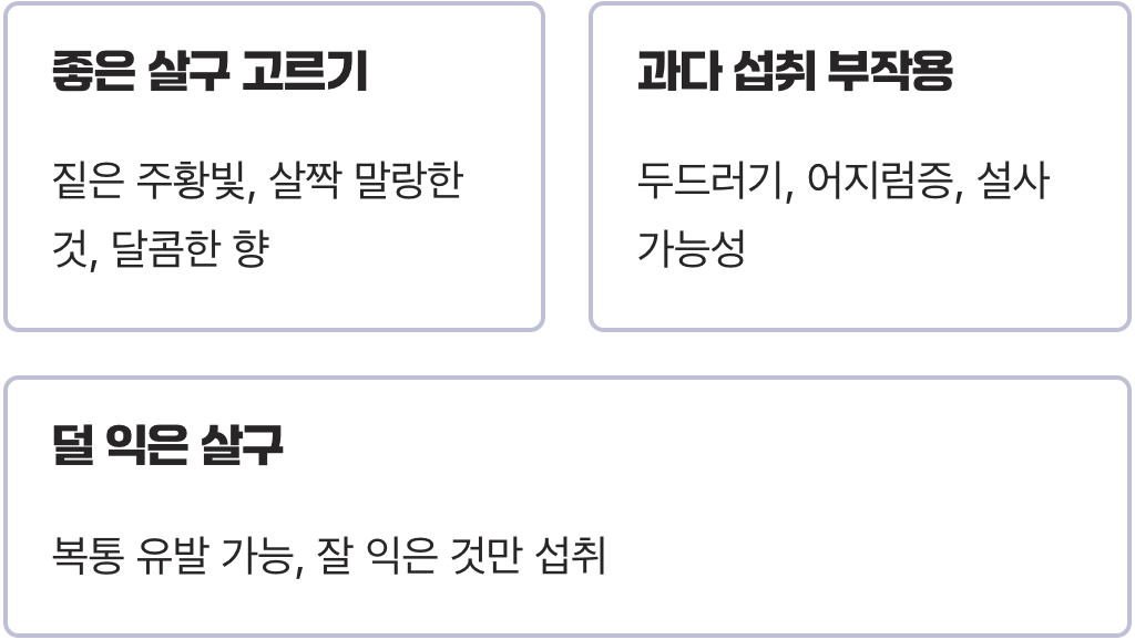 살구효능 A to Z (눈 건강, 피부 미용, 항암효과 총정리)