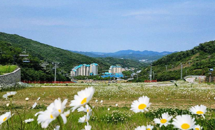 곤지암 루지360